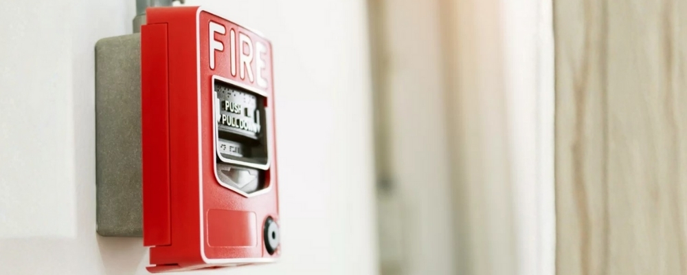 Your paragraph text - 6