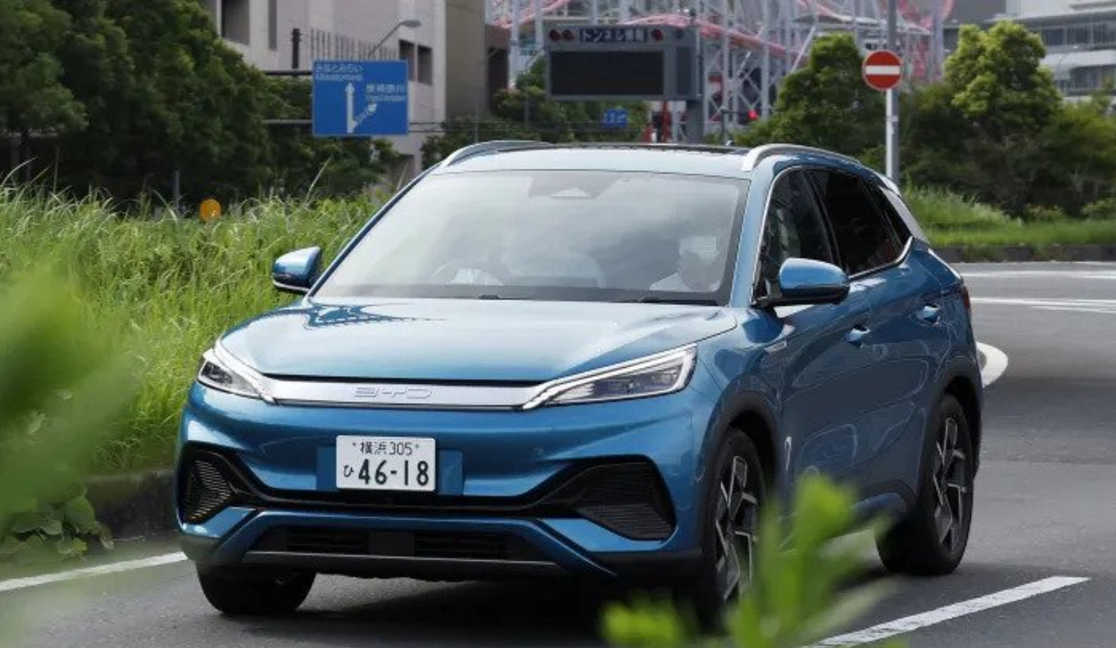 Your paragraph text - 12