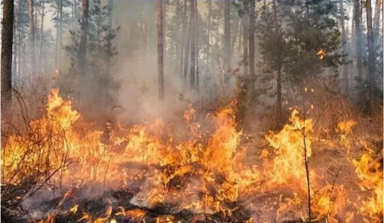 Your paragraph text - 12