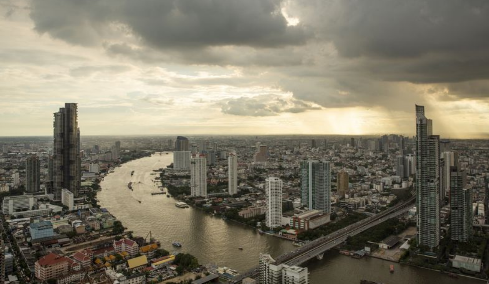 Your paragraph text - 12