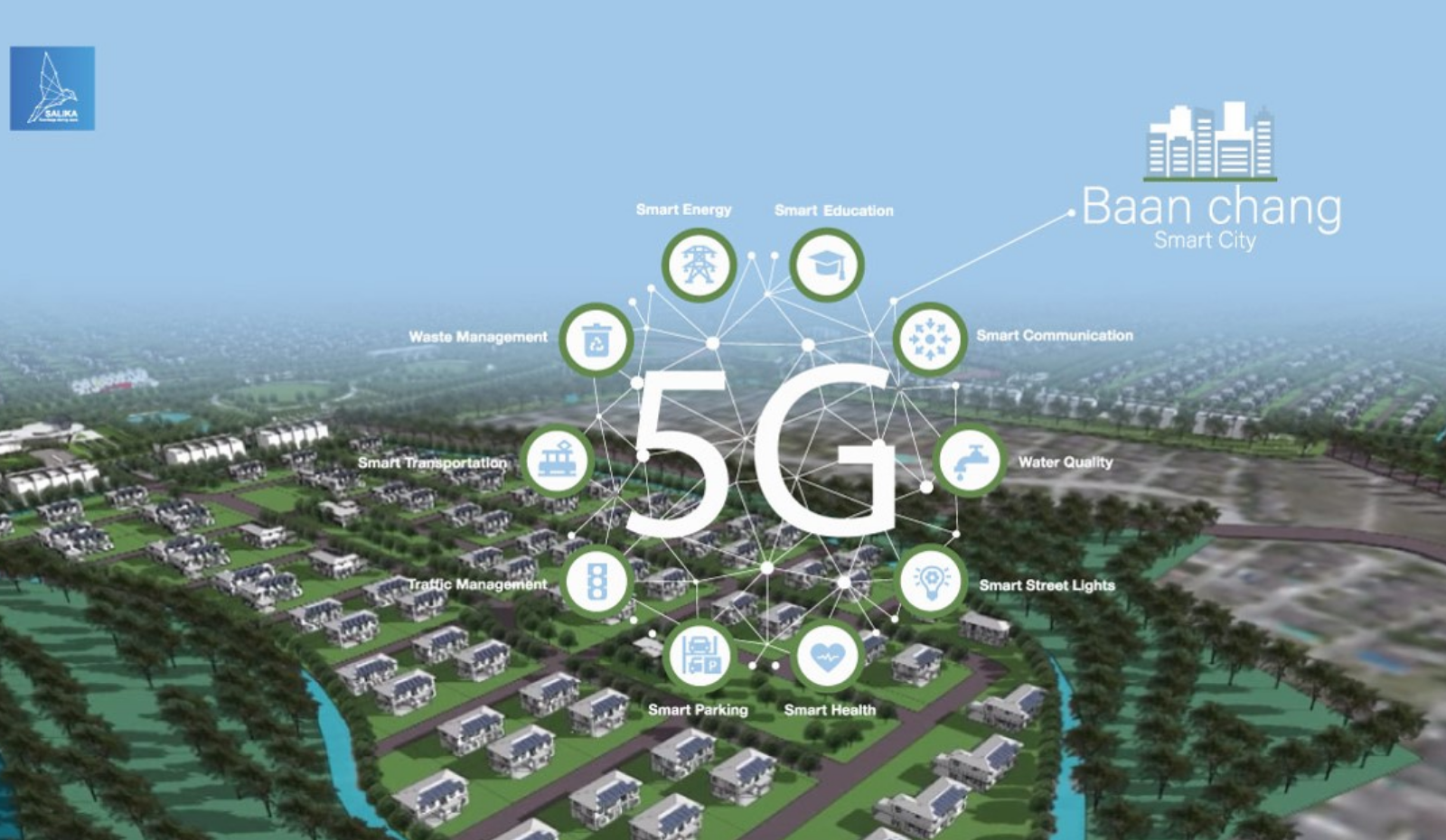 Your paragraph text - 12